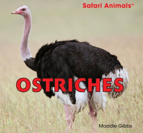 Cover image for book Ostriches