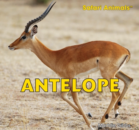 Cover image for book Antelope