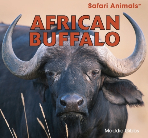 Cover image for book African Buffalo