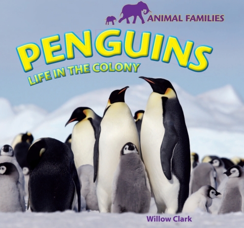 Cover image for book Penguins