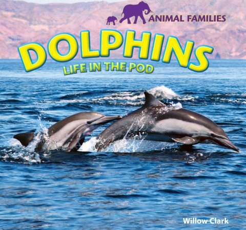 Cover image for book Dolphins