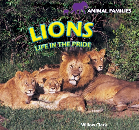 Cover image for book Lions