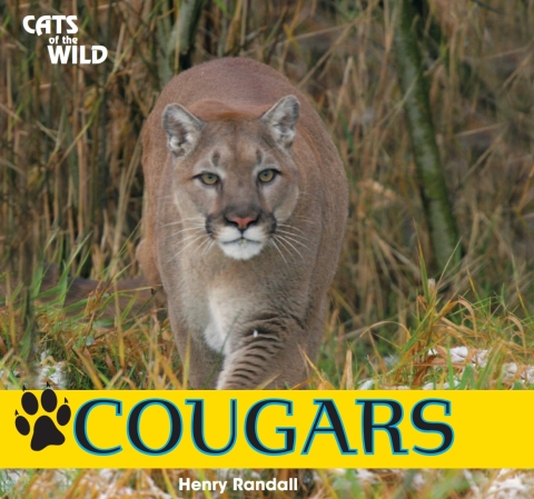 Cover image for book Cougars
