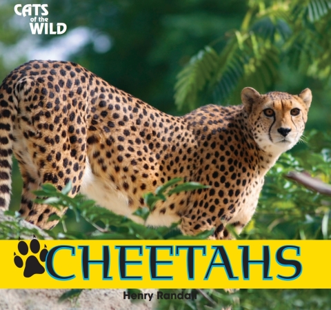 Cover image for book Cheetahs