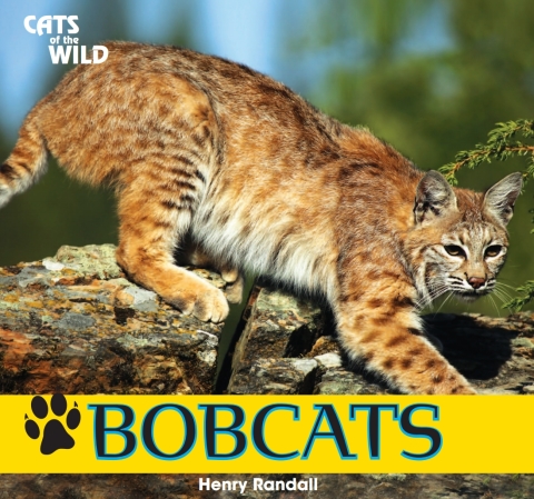 Cover image for book Bobcats