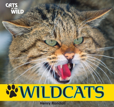 Cover image for book Wildcats