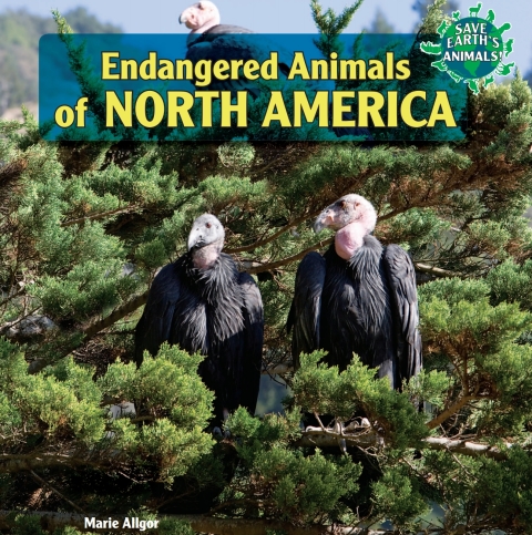 Cover image for book Endangered Animals of North America