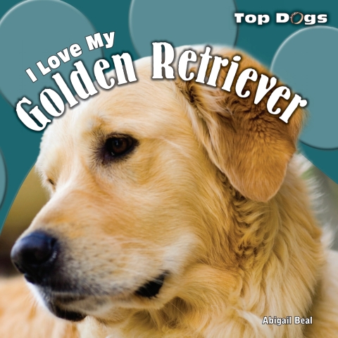 Cover image for book I Love My Golden Retriever