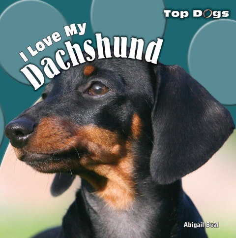 Cover image for book I Love My Dachshund