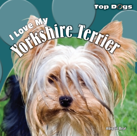 Cover image for book I Love My Yorkshire Terrier