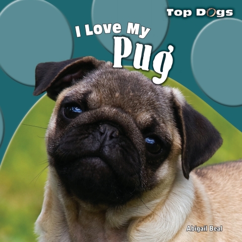 Cover image for book I Love My Pug