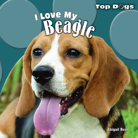 Cover image for book I Love My Beagle
