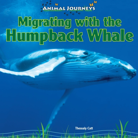 Cover image for book Migrating with the Humpback Whale