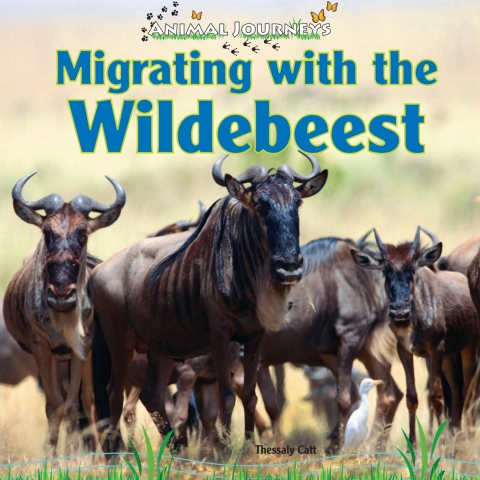 Cover image for book Migrating with the Wildebeest