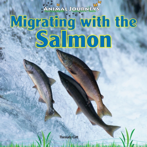 Cover image for book Migrating with the Salmon