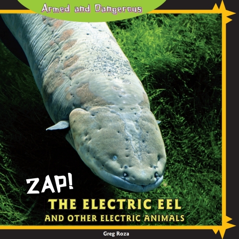 Cover image for book Zap!