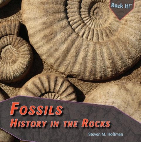 Cover image for book Fossils