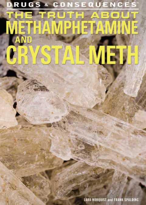 Cover image for book The Truth About Methamphetamine and Crystal Meth