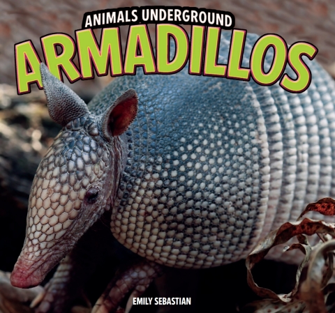 Cover image for book Armadillos