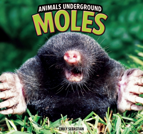 Cover image for book Moles