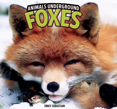 Cover image for book Foxes