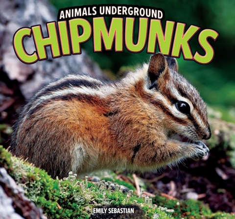 Cover image for book Chipmunks