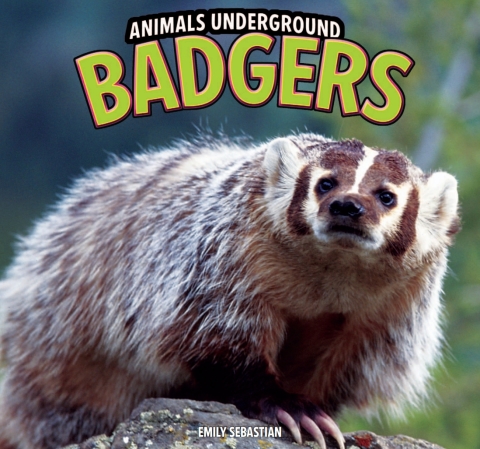 Cover image for book Badgers