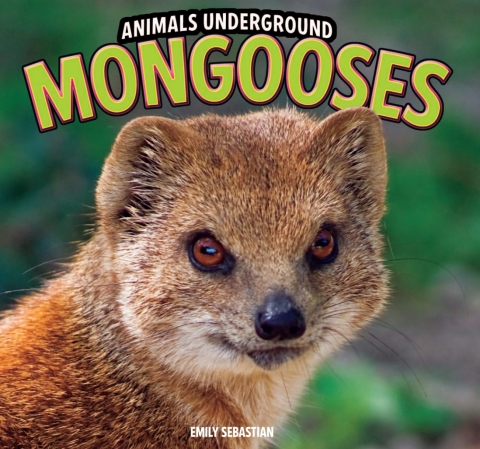 Cover image for book Mongooses