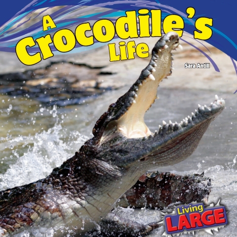 Cover image for book A Crocodile’s Life