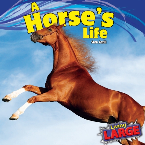 Cover image for book A Horse’s Life