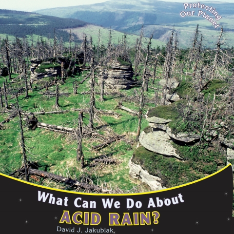 Cover image for book What Can We Do About Acid Rain?