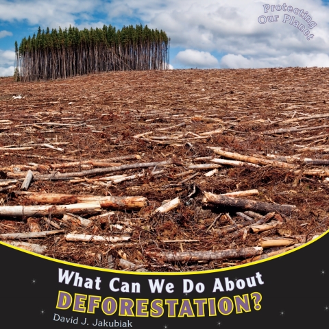 Cover image for book What Can We Do About Deforestation?
