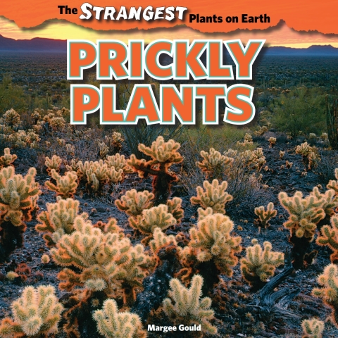 Cover image for book Prickly Plants