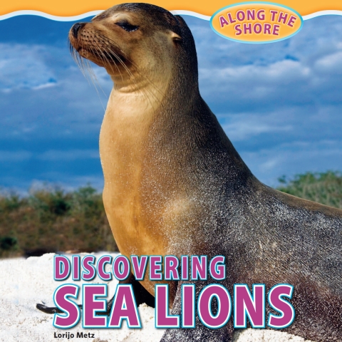 Cover image for book Discovering Sea Lions