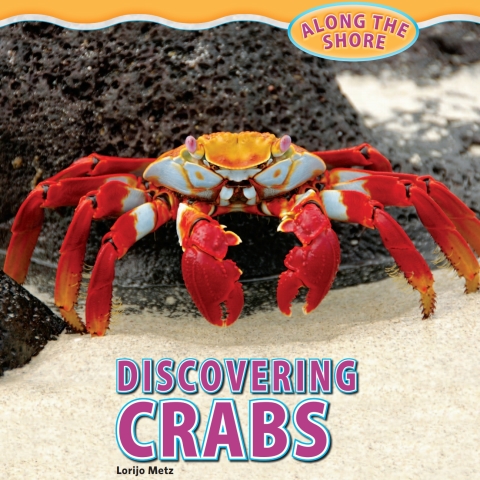 Cover image for book Discovering Crabs