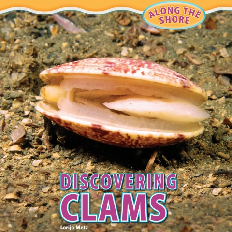 Cover image for book Discovering Clams