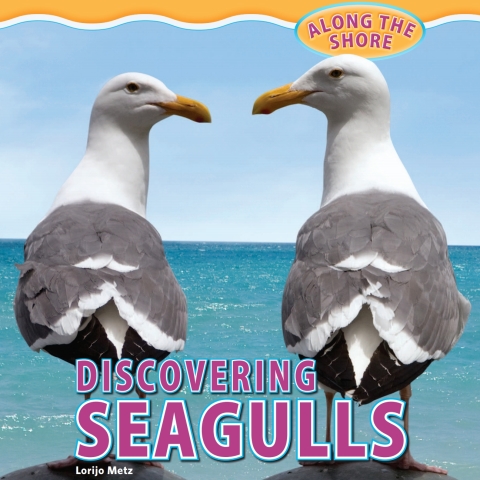 Cover image for book Discovering Seagulls