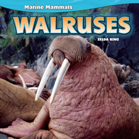 Cover image for book Walruses