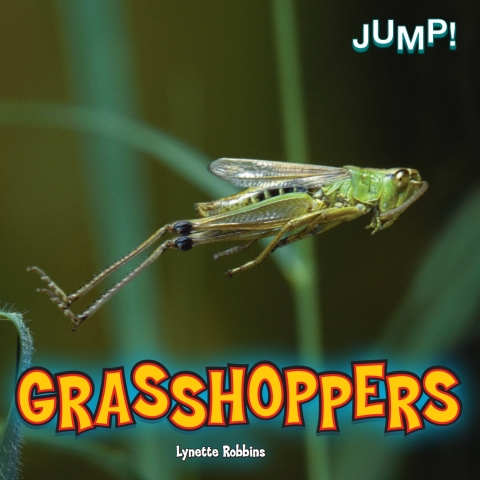 Cover image for book Grasshoppers