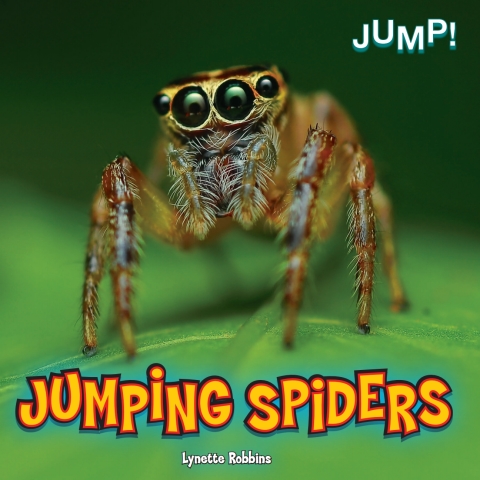 Cover image for book Jumping Spiders