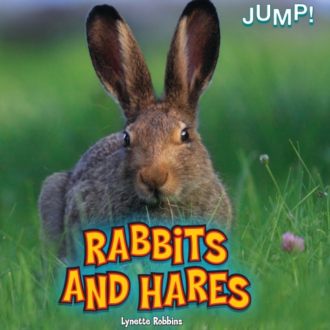 Cover image for book Rabbits and Hares