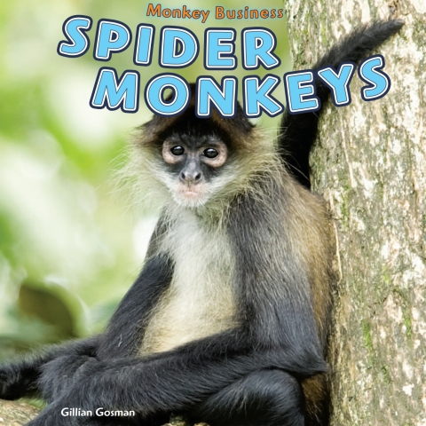 Cover image for book Spider Monkeys