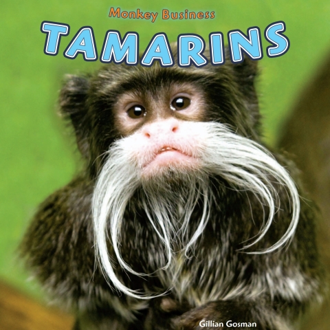 Cover image for book Tamarins