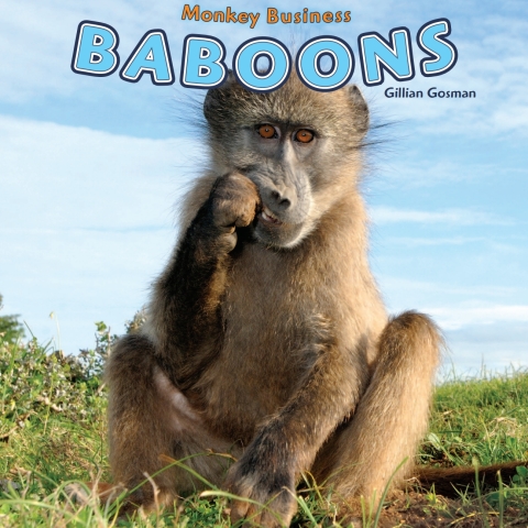 Cover image for book Baboons