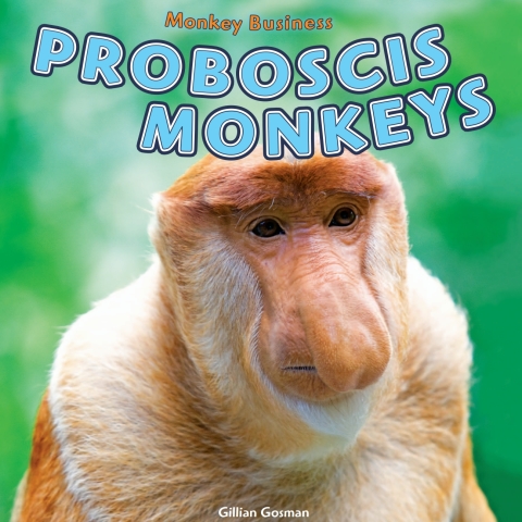 Cover image for book Proboscis Monkeys