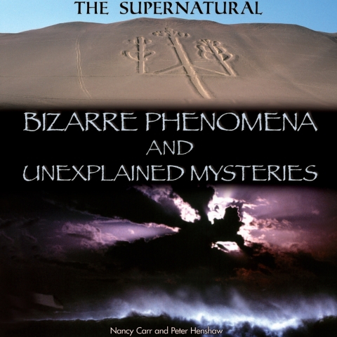 Cover image for book Bizarre Phenomena and Unexplained Mysteries