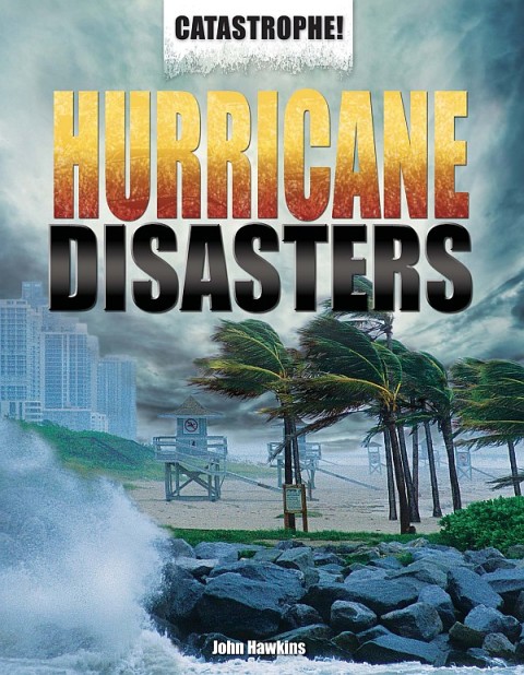 Cover image for book Hurricane Disasters