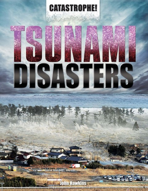 Cover image for book Tsunami Disasters