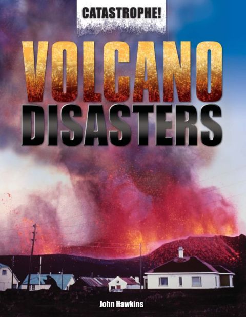 Cover image for book Volcano Disasters