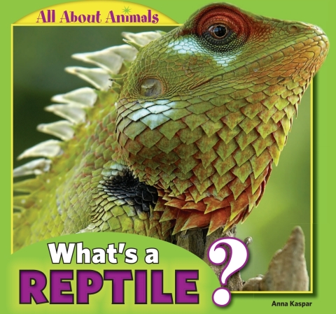 Cover image for book What’s a Reptile?